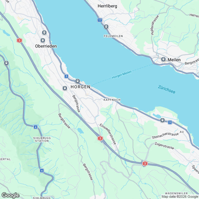 Exklusive Eigentumswohnungen in Horgen - Karte