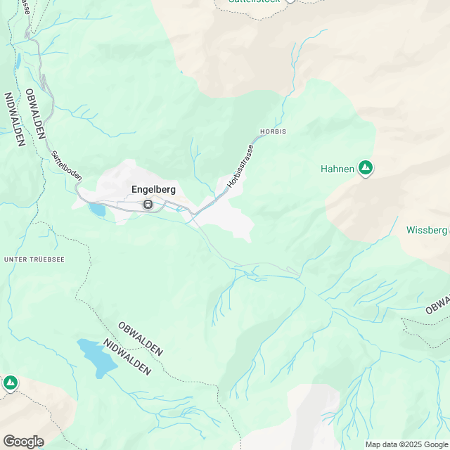 10 Eigentumswohnungen in Engelberg - undefined