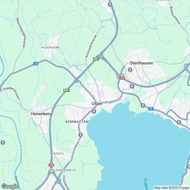 Umbau/Aufstockung mit Neubauwohnungen in Cham - Karte