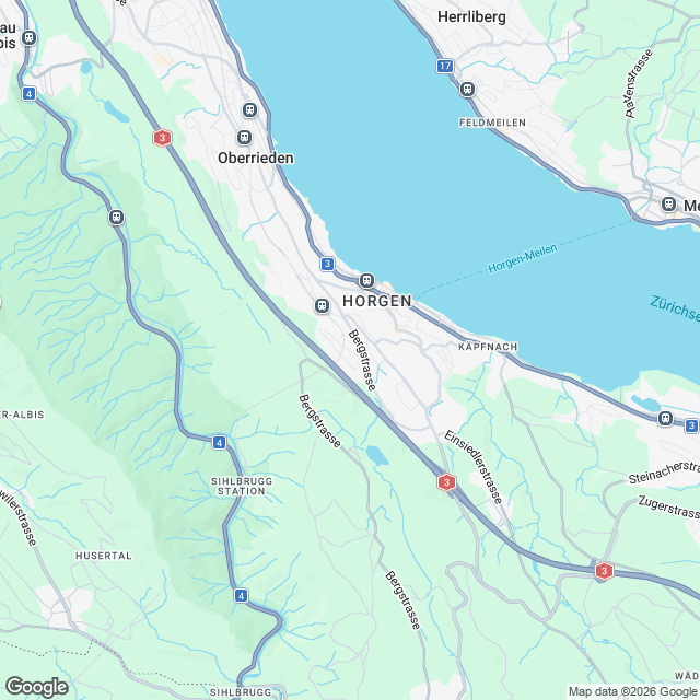 Erstvermietung 4.5-Zimmer-Reihen-Eckhaus in Horgen - Karte