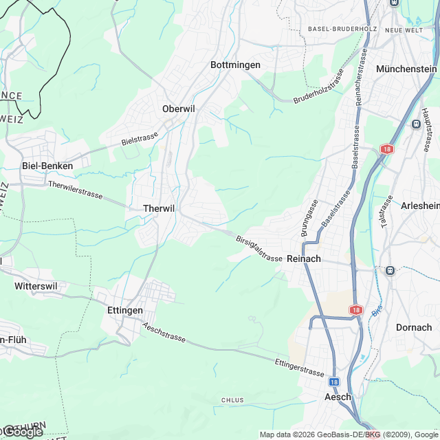 Einfamilienhaus in Therwil - undefined