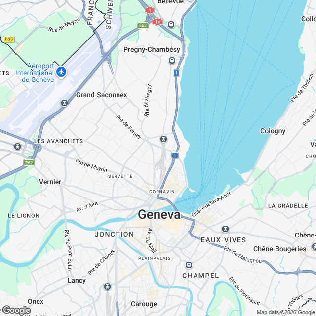 Spacious 6-room apartment in prestigious Geneva location - undefined