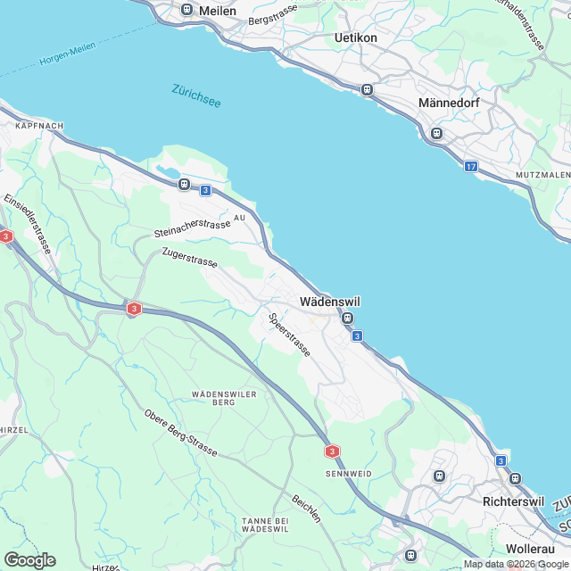 Hochwertige 3.5-Zimmer Wohnung in Wädenswil - Karte