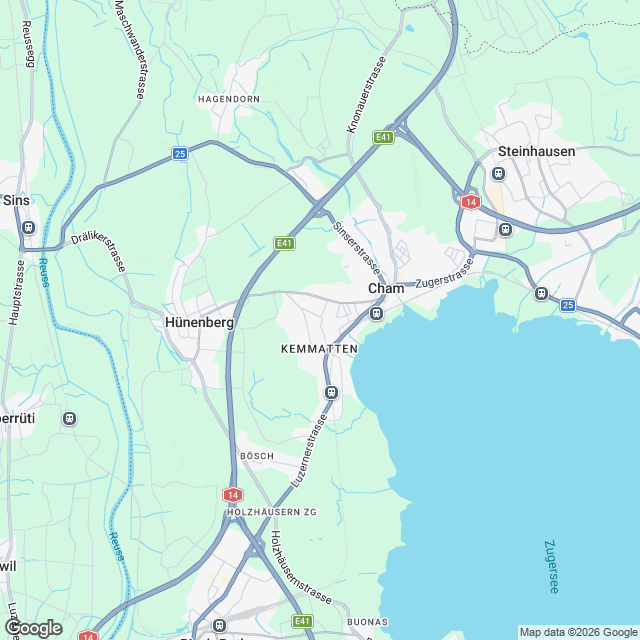 Neubau Villen mit Seesicht in Hünenberg See - undefined