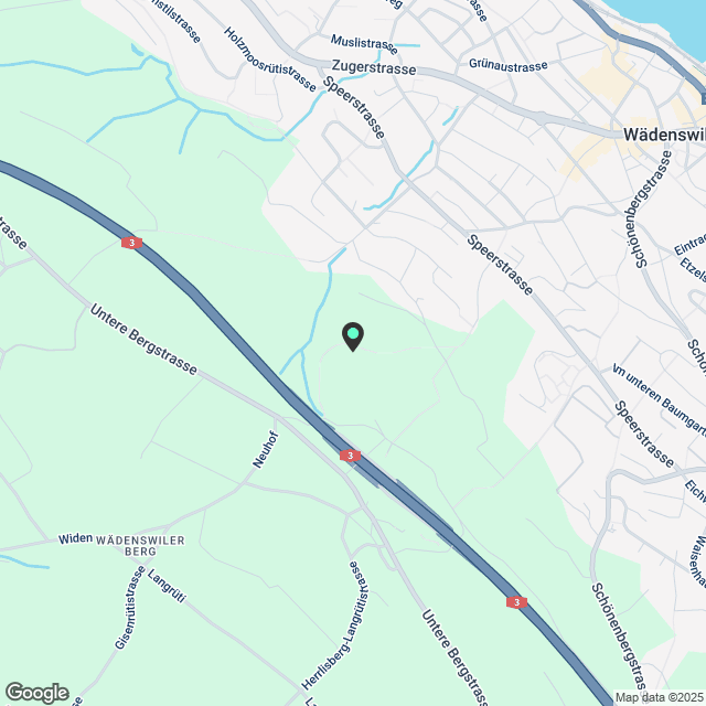 Schöne 2.5 Zimmerwohnung mit 70 m2 Garten und Sitzplatz an bester Lage in Wädenswil - Karte