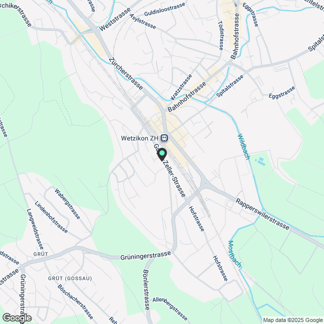 Wohnung in Wetzikon ZH - Karte