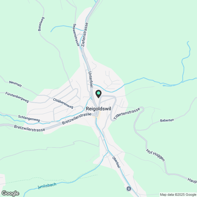 Attraktive Etagen-Wohnungen mit Garten im "Kurort-Look" und Aussicht auf Reigoldswil - Karte