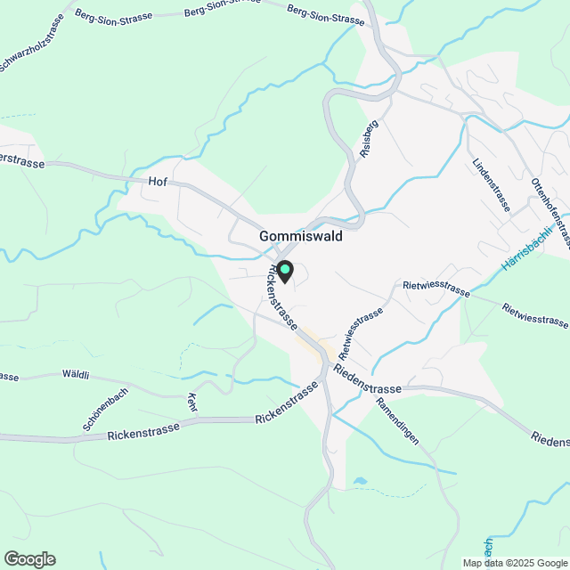 4 ½ Zimmer-Wohnung in Gommiswald mieten - Karte