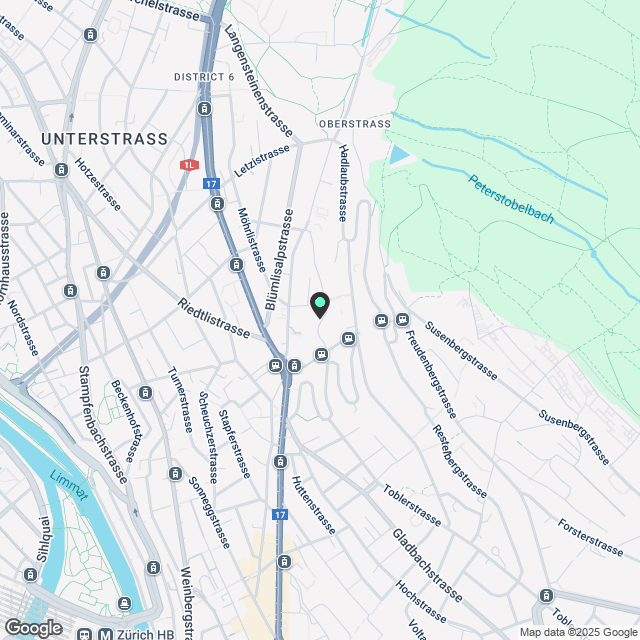 WG Zimmer in Zürich mieten - Karte