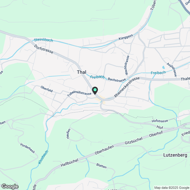2.5 Zimmer Wohnung Neubau - Karte