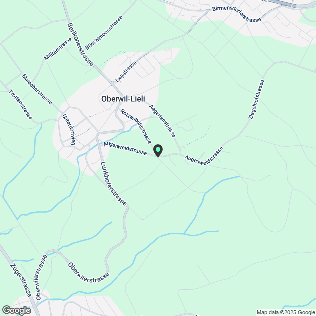 Exklusive 5.5-Zimmer-Gartenwohnung in Oberwil-Lieli (NEUBAU) - Karte