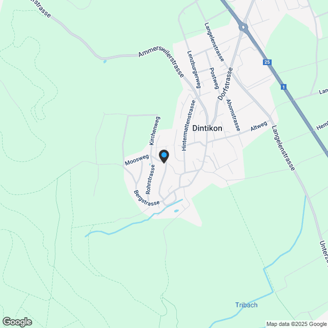 5.5-Zimmer-Terrassenwohnung mit sensationeller Bergsicht - Karte