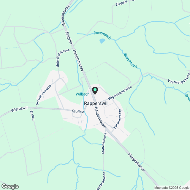 3 ½ Zimmer-Wohnung in Rapperswil mieten - Karte