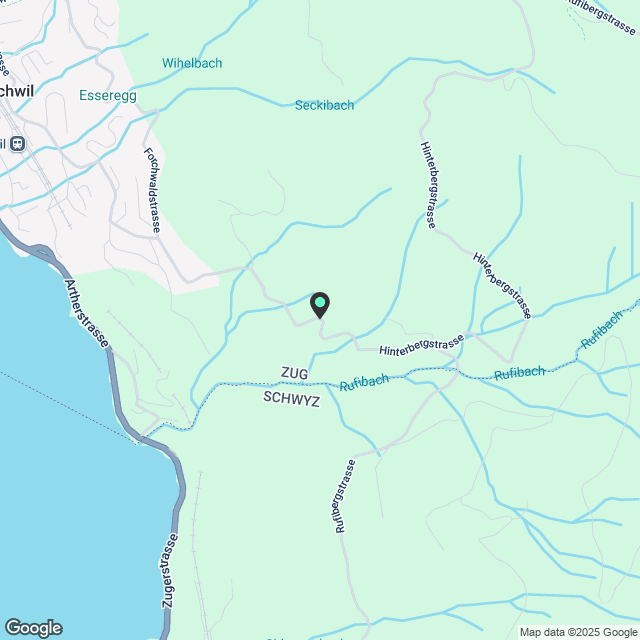 Neubau Bijou mit Panorama-Seeblick in Walchwil - Karte