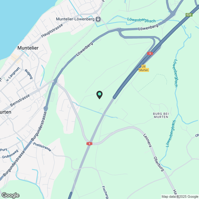 3 Zimmer-Mehrfamilienhaus in Murten mieten - Karte