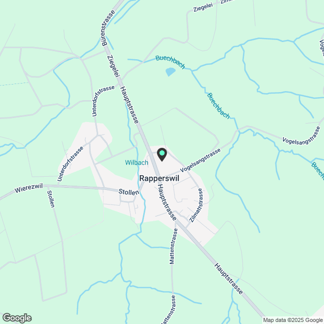 2 ½ Zimmer-Wohnung in Rapperswil mieten - Karte