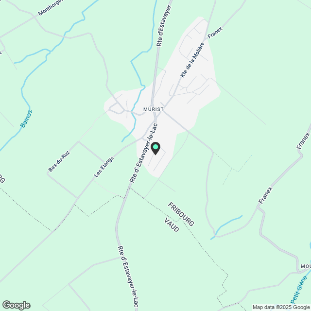 2,5 Zimmer neubau in Murist mit zusätzlichem Abstellraum - Karte