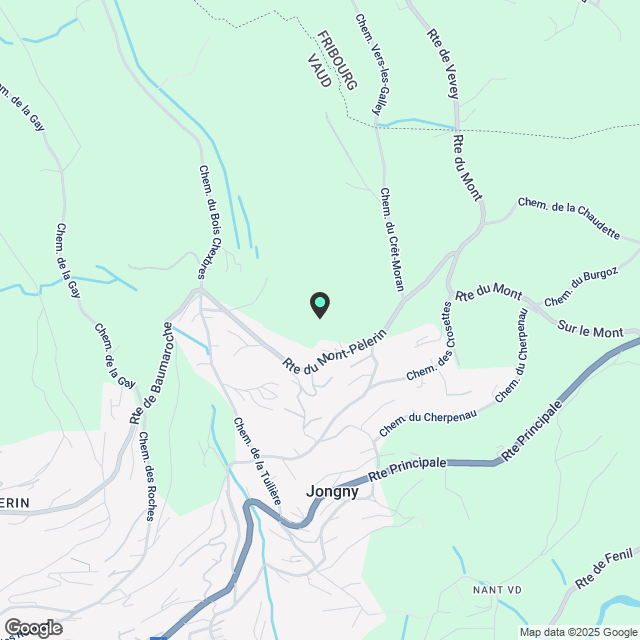 Schönes Apartment zur Miete in Jongny - Karte