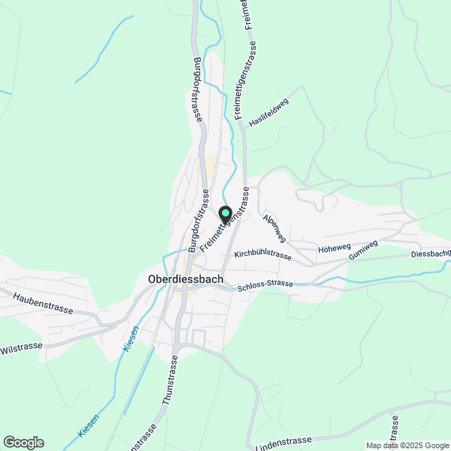 Erstvermietung: letzte 2.5-Zimmerwohnung mit Privatgarten - Karte