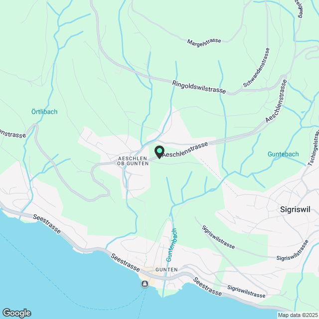 Traumhafte 3-Zimmer-Wohnung mit atemberaubendem Berg- und Seeblick in Aeschlen ob Gunten - Karte