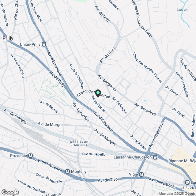 Charmantes 2.5-Zimmer-Wohnung in Lausanne, Avenue Recordon - Karte