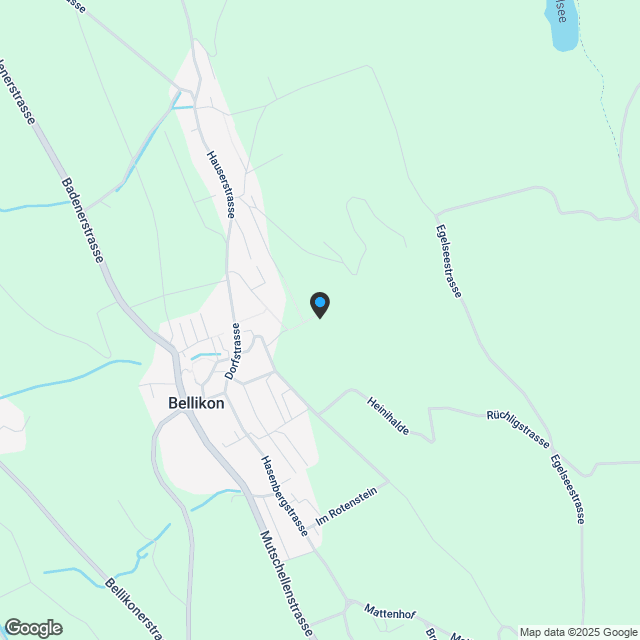Schlossberg Bellikon - Attraktives Wohnen am Hang - Karte