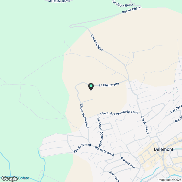 Neue Wohnung in Delémont 2,5 - Karte