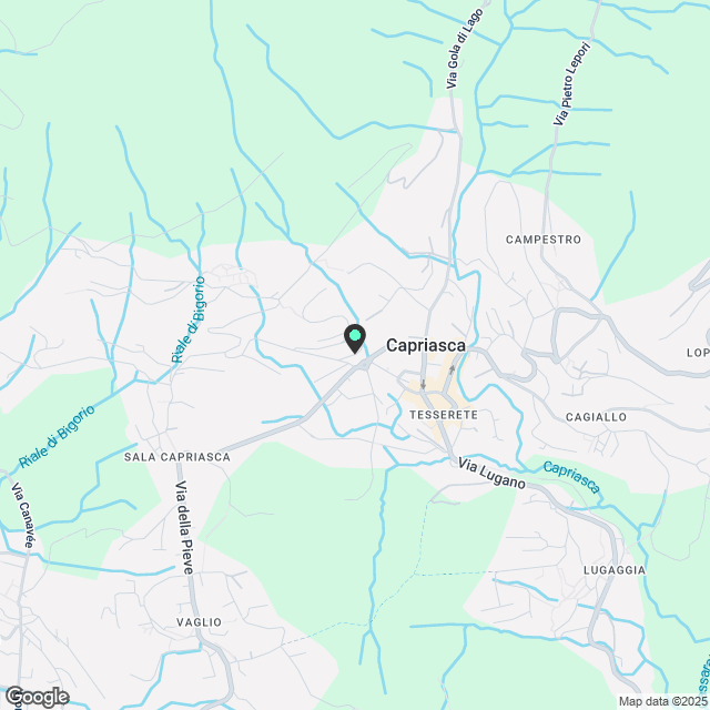 Tesserete, 4.5-Zimmer-Wohnung im 1. Stock, Nr. 1 zu vermieten - Karte