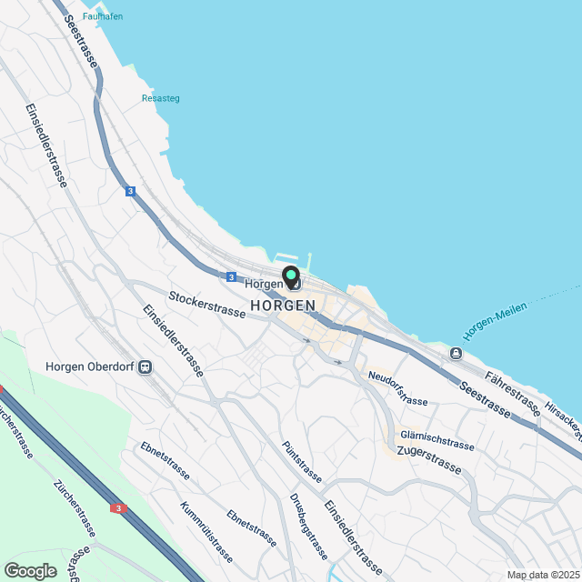 Zentral wohnen in Horgen Moderne 2.5-Zimmerwohnung direkt am Zürichsee - Karte