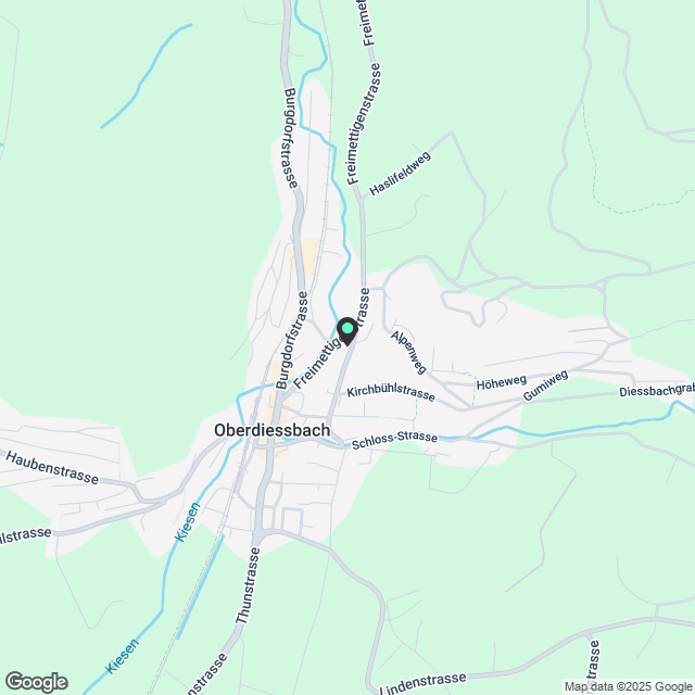 Erstvermietung: Loft-Wohnung in der Falkematt - Karte