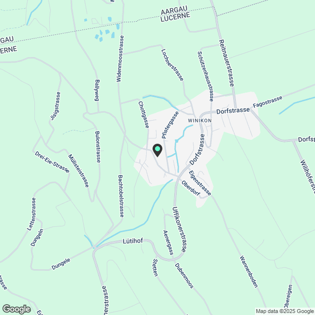 4.5 Zimmer Dachgeschosswohnung in Winikon (LU) - Karte