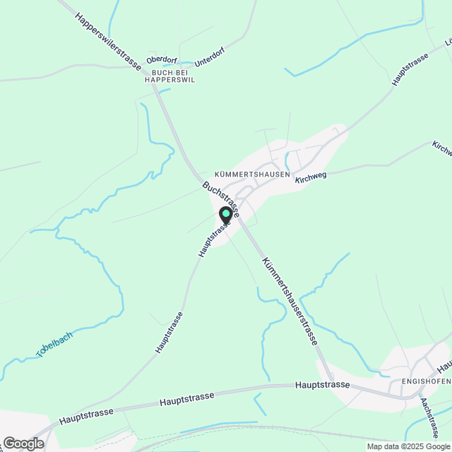 Moderne 3.5-Zimmer-Neubau-Wohnung in Kümmertshausen - Karte