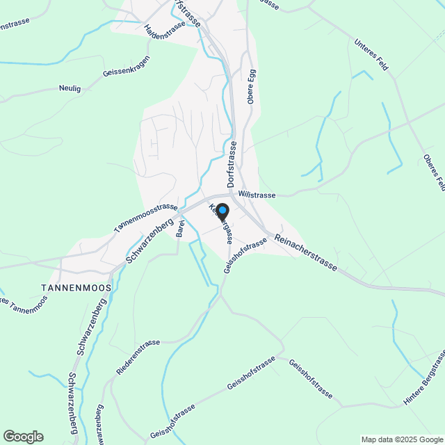 2.5-Zimmer Dachwohnung - Karte