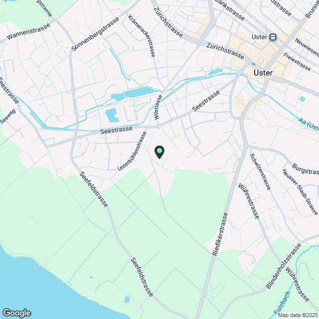 4.5 Zimmerwohnung in Uster - Karte