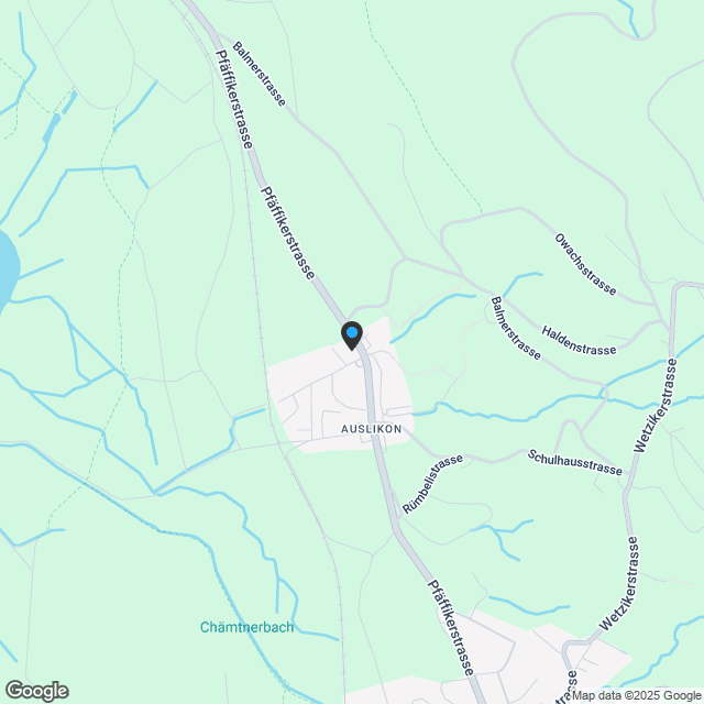 Baustart ist erfolgt - Idyllisches Auslikon - attraktive 2 1/2 Zimmer Wohnung - Karte