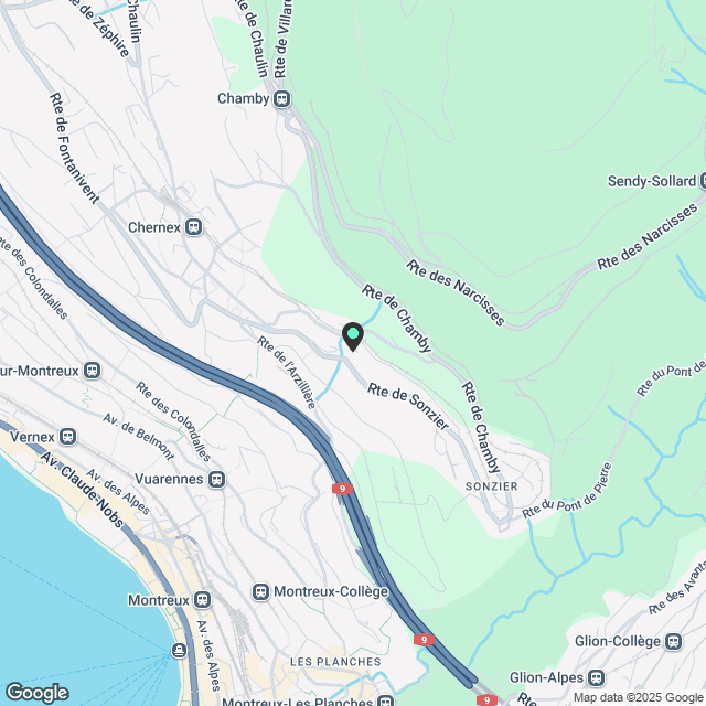 Appartement mit Terrasse in Chernex - Karte