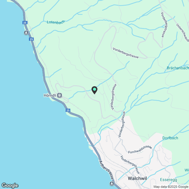 Lauihofrain - Ihre neue Wohnung in Walchwil - Karte
