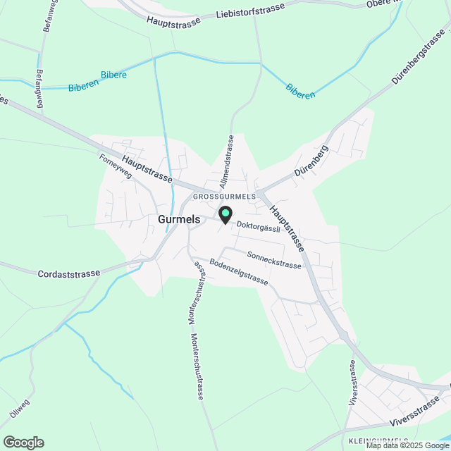 Sonnige 4½-Zimmer-Wohnung im EG in ruhigem, familienfreundlichem Quartier - Karte