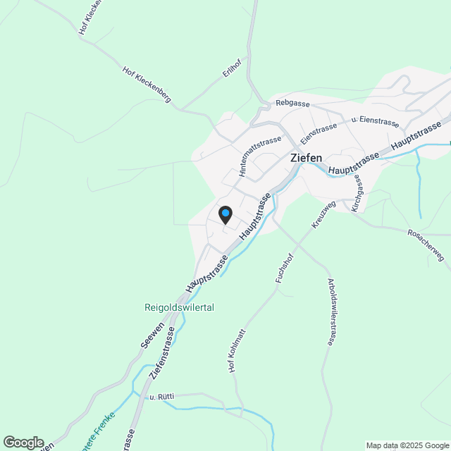 4.5 Zimmer Einfamilienhaus - Karte