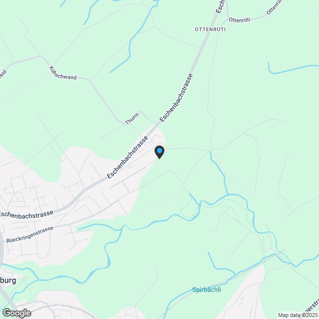 5.5 Zimmer Doppel-Einfamilienhaus - Karte