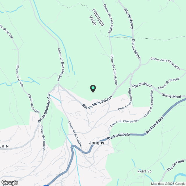 Schönes Apartment zur Miete in Jongny - Karte