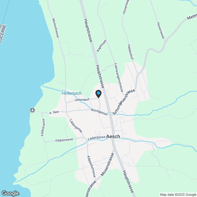 'Seenswert' Wohnen am Hallwilersee - im Einklang mit der Natur - Karte