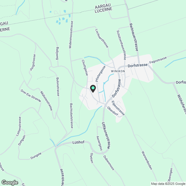4.5 Zimmer Dachgeschosswohnung in Winikon (LU) - Karte