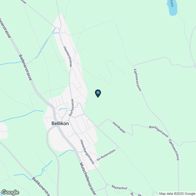 Schlossberg Bellikon - Attraktives Wohnen am Hang - Karte