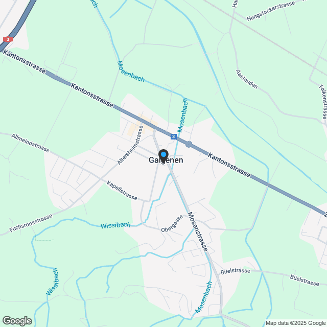 RESERVIERT  Neubau MFH Quadro Galgenen - 2.5 Zimmer Gartenwohnung - Karte