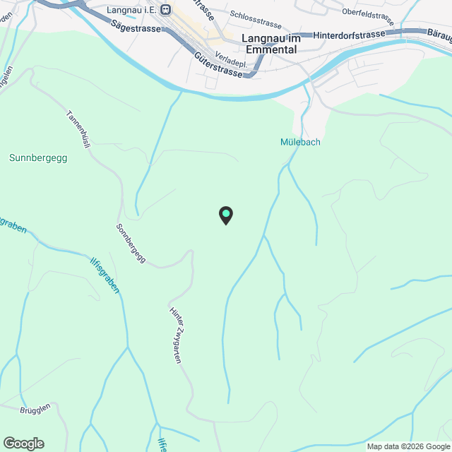 4.5 Galerie-Wohnung im Herzen Langnau - Karte