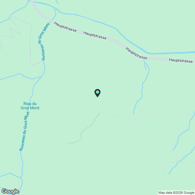 Charmey - Magnifique appartement de 4.5 pièces au rez-de-chaussée - Karte