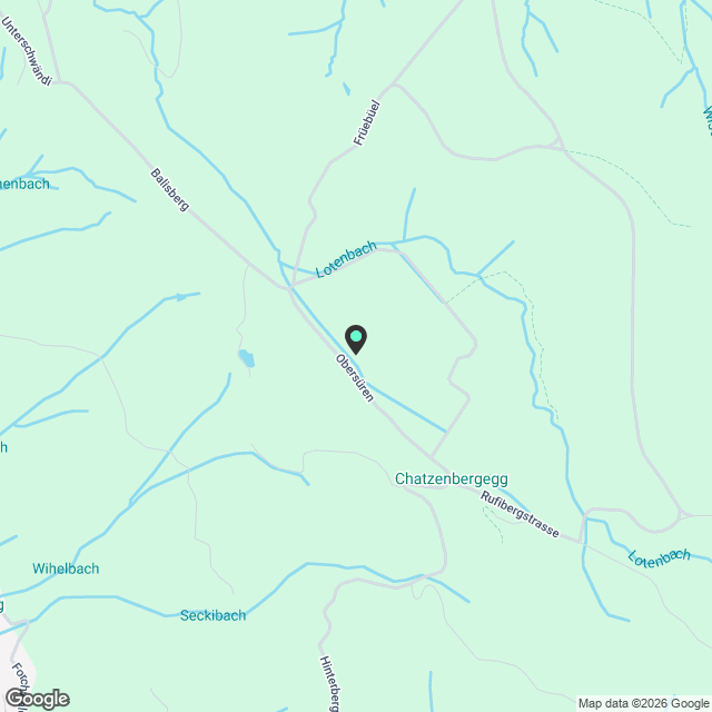 Lichtdurchflutete 2.5-Zimmer-Neubauwohnung mit Seesicht – Erstvermietung in Walchwil - Karte