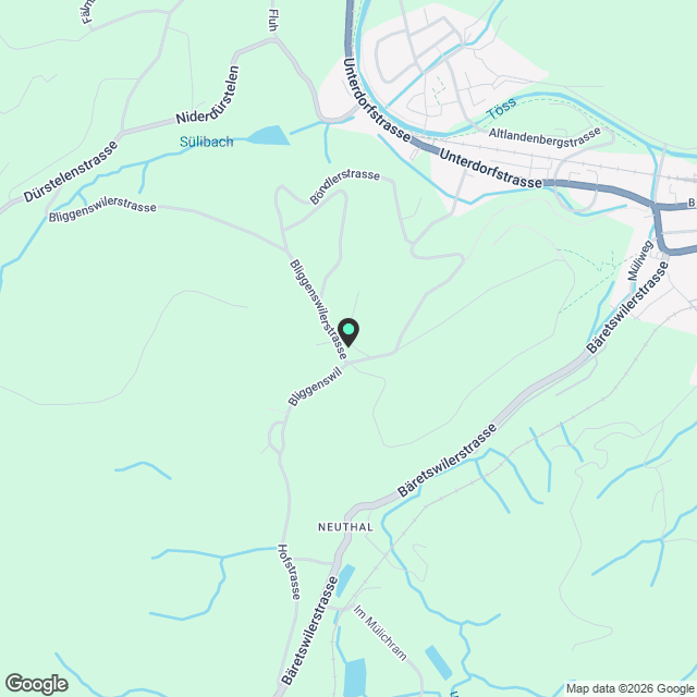 Einliegerwohnung ausserhalb Bauma, Zürcher-Oberland - Karte