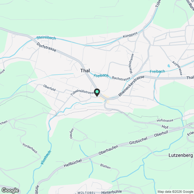 Moderne 4-Zimmer-Wohnung in Thal - Neubau mit Komfort - Karte